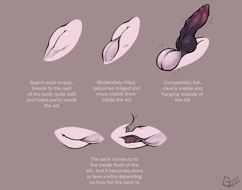 animal_genitalia balls concept_art dragon feral genital_slit genitals guzanori hi_res kanapae_(lupinator) knot male penis purple_penis slit solo spread_slit white_balls