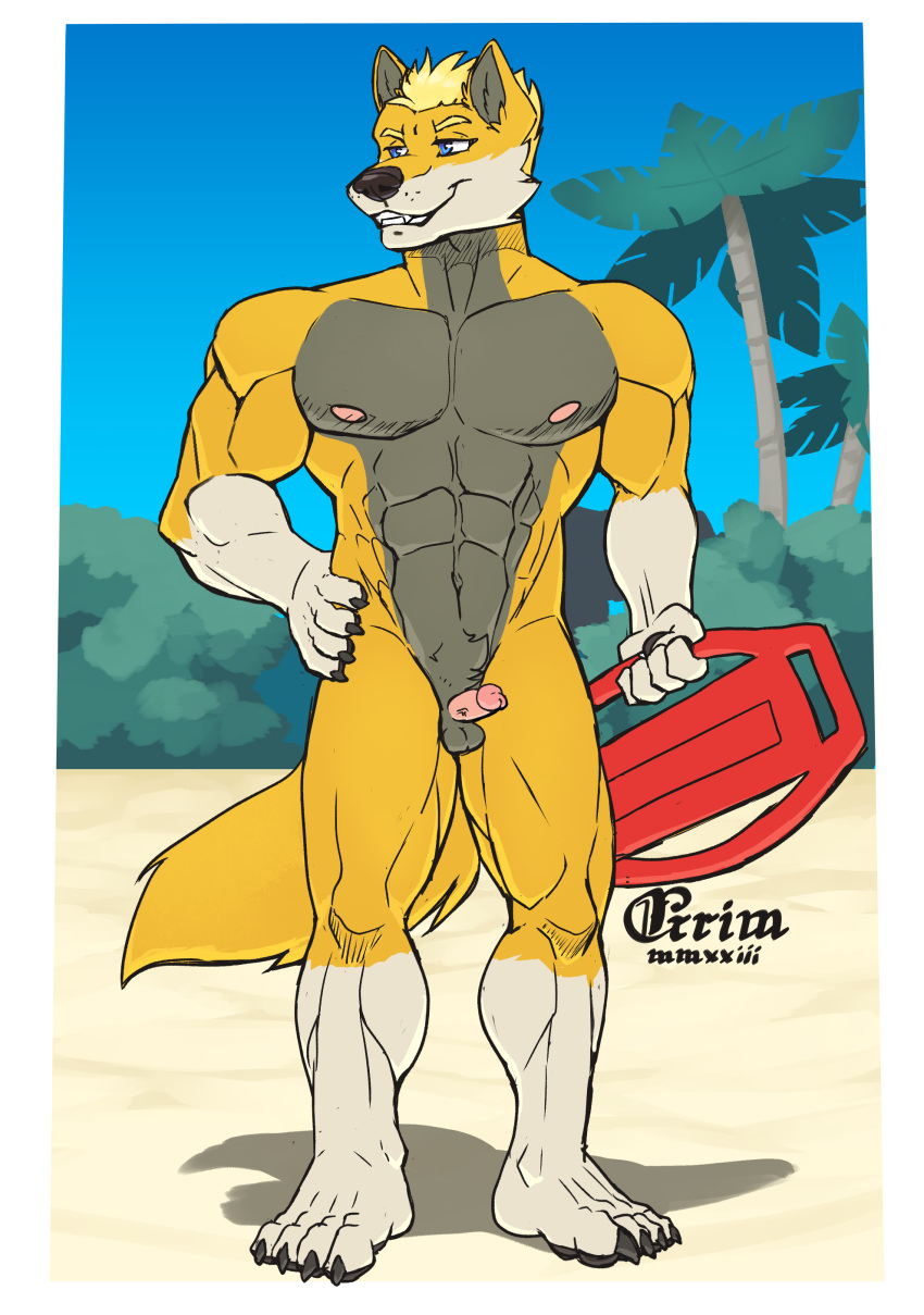 1boy absurd_res anthro balls beach blake_gibson blue_eyes canid canine canis genitals grimsvault hi_res lifeguard male male_only mammal muscular penis seaside small_balls small_penis small_penis_appreciation solo wolf