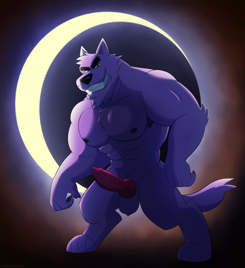 anthro balls bara barazoku bernard_(ok_k.o.!_lbh) boner canine_penis erection ethancostas furry furry_only knot knotted_penis male male_only muscles muscular nude ok_k.o.!_let's_be_heroes penis purple_fur solo solo_male werewolf wolf