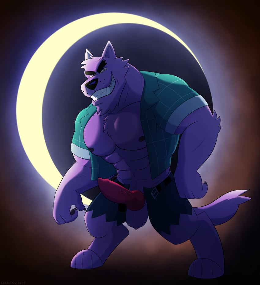 anthro balls bara barazoku bernard_(ok_k.o.!_lbh) boner canine_penis erection ethancostas furry knot knotted_penis male male_only muscles muscular ok_k.o.!_let's_be_heroes open_shirt penis penis_out purple_fur shirt shorts solo solo_male werewolf wolf