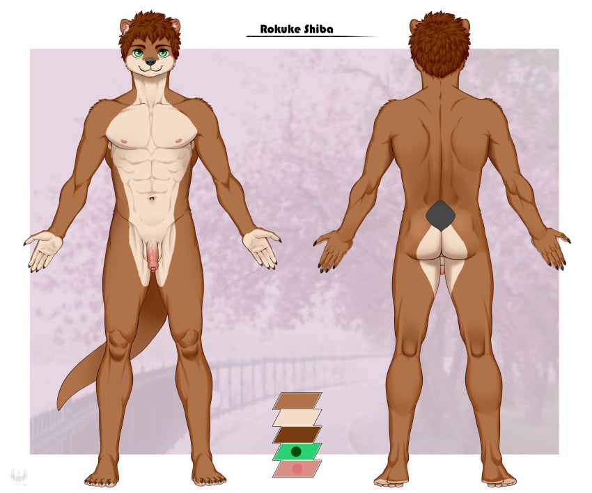 5_fingers 6:5 absurd_res anthro balls biped brown_body brown_fur brown_hair claws color_swatch countershade_face countershade_fur countershade_neck countershade_torso countershading eldiman eyebrows fingers foreskin fur genitals glans green_eyes hair hi_res humanoid_genitalia humanoid_penis male mammal model_sheet mustelid navel otter penis rokuke_shiba_(character) solo tail vein veiny_penis