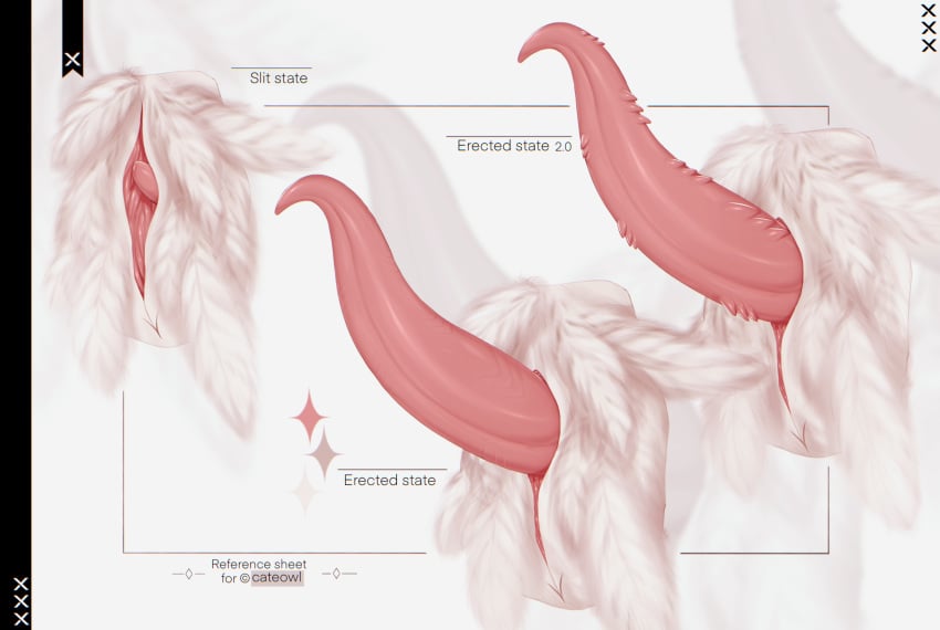 animal_genitalia anthro avian batttat bird bubo_(genus) cloaca cloacal_penis english_text feathers genitals hi_res male model_sheet owl penile_spines penis prehensile_penis slit solo tapering_penis text thieu_(thieutheowl) true_owl