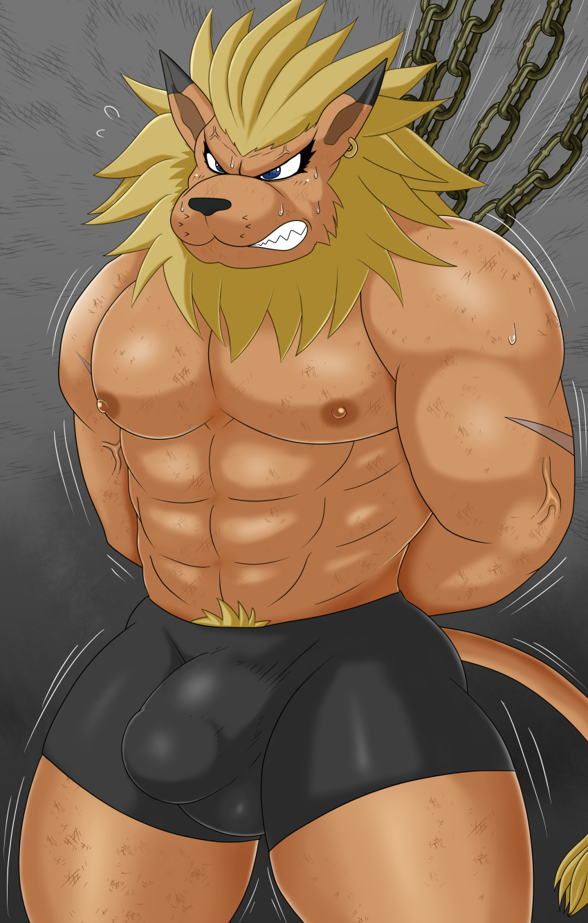 abs absurd_res anthro bandai_namco bantau blonde_hair blush bondage bound bulge clenched_teeth clothing detailed_bulge digimon digimon_(species) hair hi_res leomon male male_only mane muscular muscular_anthro muscular_male pecs scuff_marks solo teeth underwear