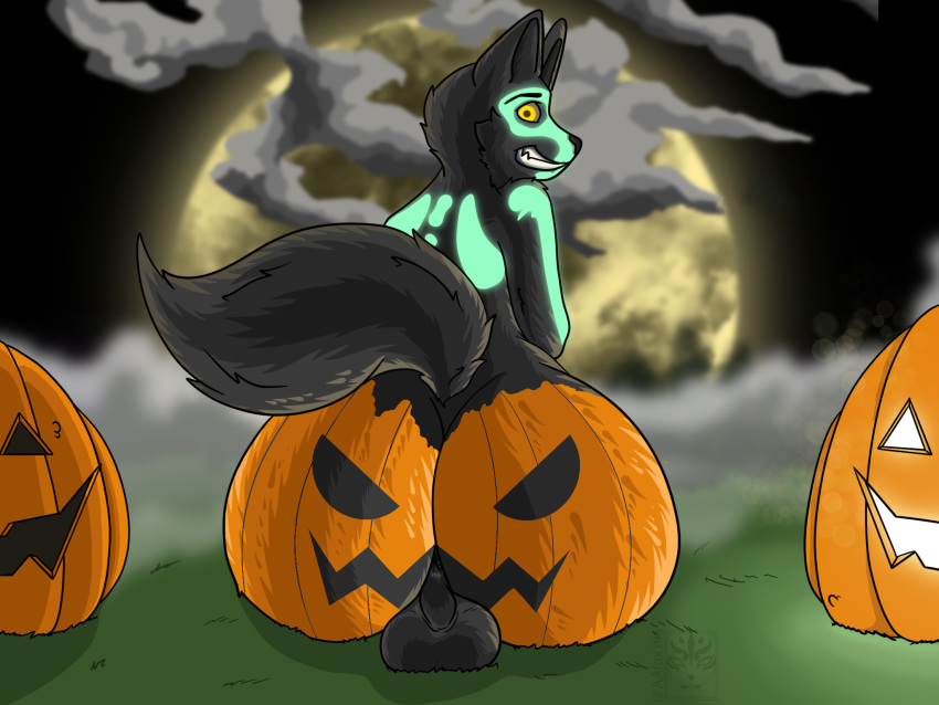 2023 aafox196 anthro anus ass balls big_butt black_body black_ears black_fur black_tail bodypaint canid canine canis digital_media_(artwork) face_paint fur genitals grass halloween hi_res holidays jack-o'-lantern looking_at_viewer looking_back male mammal moon nude original original_character outside plant pumpkin_butt rear_view sitting sitting_on_ground smile solo tail teeth unnamed_character wolf yellow_eyes