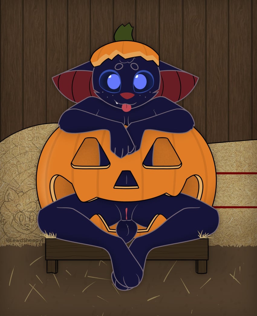 anthro bat big_ears black_body black_fur blue_eyes breasts domestic_cat felid feline felis female food freckles front_view fruit fur genitals hay hay_bale hi_res hybrid jack-o'-lantern looking_at_viewer mammal nude plant pumpkin pussy sitting sleepysheepy17 smile solo zulu_(sleepysheepy17) zulu_(sleepysheepy17)