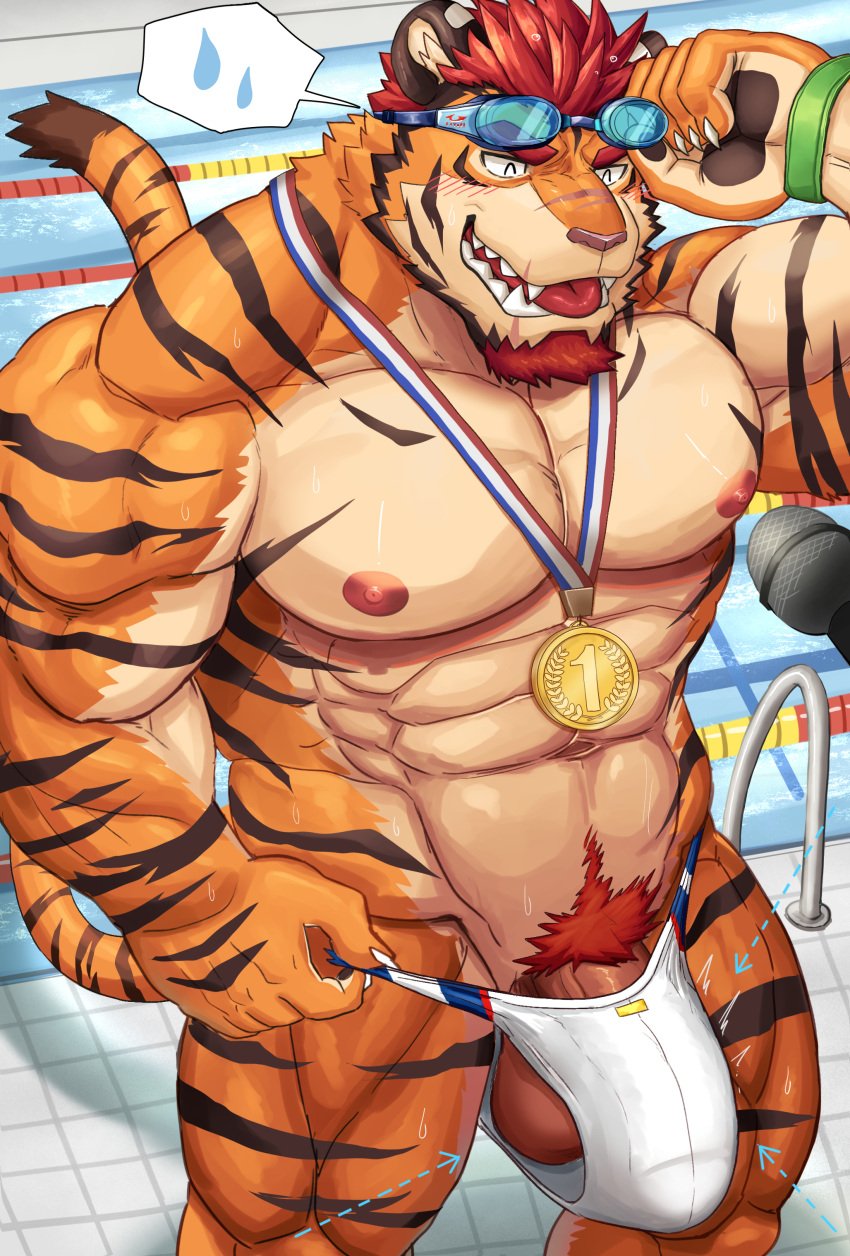 1boy absurd_res anthro balls clothing felid genitals gold_medal hi_res male male_only mammal medal miazuma_shouki microphone pantherine penis solo speedo swimming_goggles swimming_pool swimwear tiger