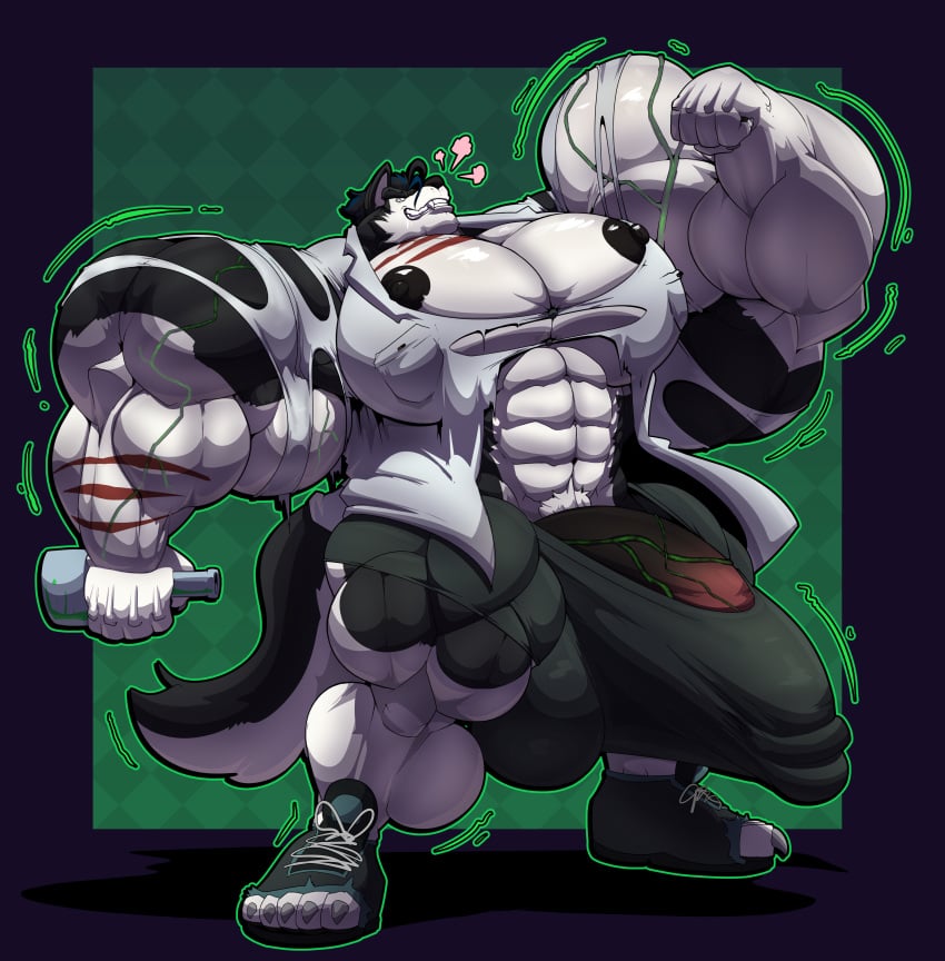 abs absurd_res anthro biceps big_bulge big_muscles big_penis bobert bulge canid canine canis domestic_dog genitals growth hi_res huge_bulge huge_cock husky hyper hyper_genitalia hyper_penis male mammal muscle_growth muscular nipples nordic_sled_dog pecs penis potion solo spitz tokitechie wolf