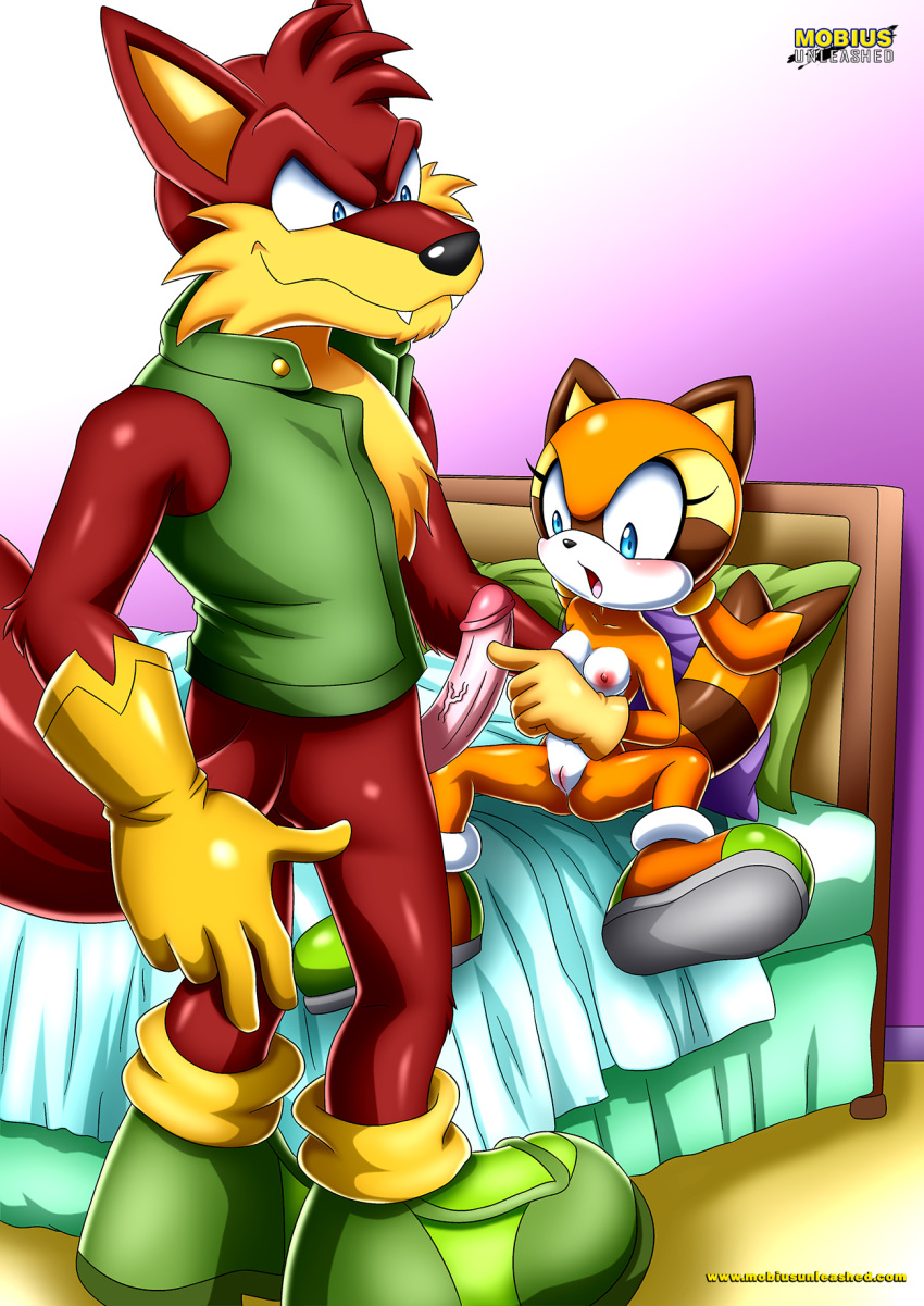 1boy 1girls anthro ass bbmbbf bed blush breasts cub erection fangs female fur guntiver_the_arctic_wolf male male/female marine_the_raccoon mobian_(species) mobius_unleashed nipples nude open_mouth palcomix penis pillow pussy raccoon sega size_difference sonic_(series) sonic_the_hedgehog_(series) tongue wolf