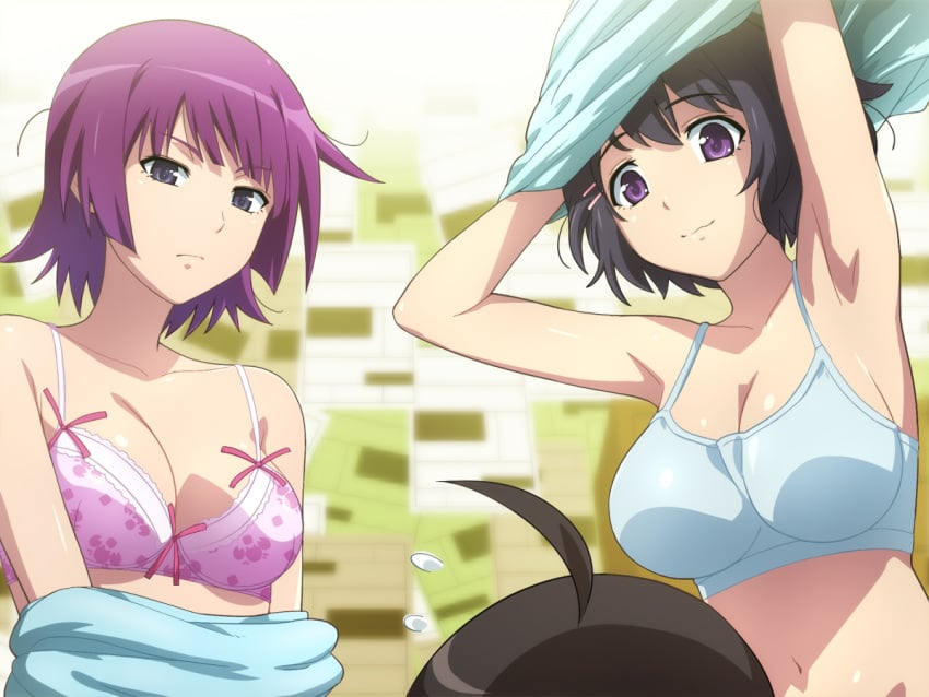 1boy 2girls ahoge araragi_koyomi armpits arms_up bakemonogatari bare_shoulders black_hair blue_eyes bra breasts collarbone hairu hanekawa_tsubasa long_hair monogatari_(series) multiple_girls navel purple_eyes senjougahara_hitagi short_hair sweatdrop underwear undressing upper_body