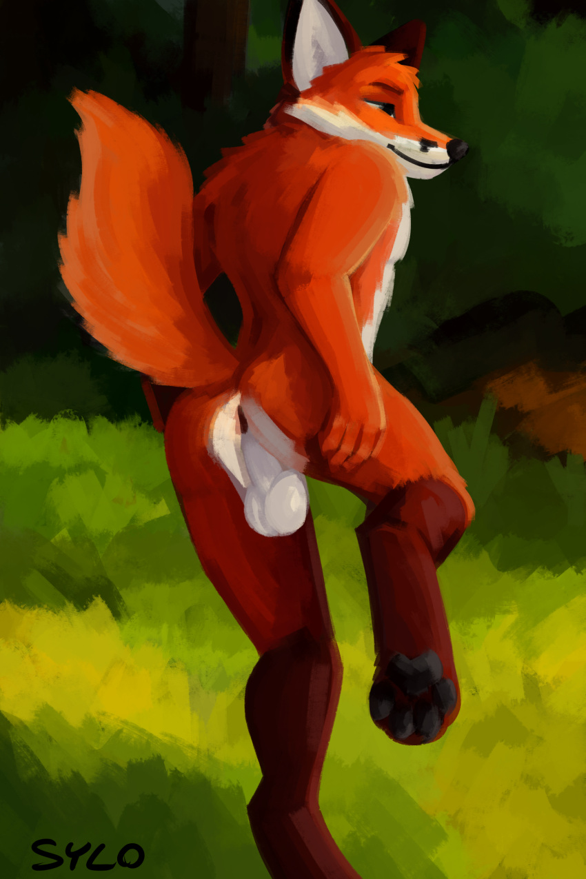 2023 absurd_res anthro anus ass balls canid canine digital_media_(artwork) fox fur genitals grass hi_res hindpaw male mammal nude orange_body orange_fur outside paws plant rear_view red_fox smile solo sylo tail