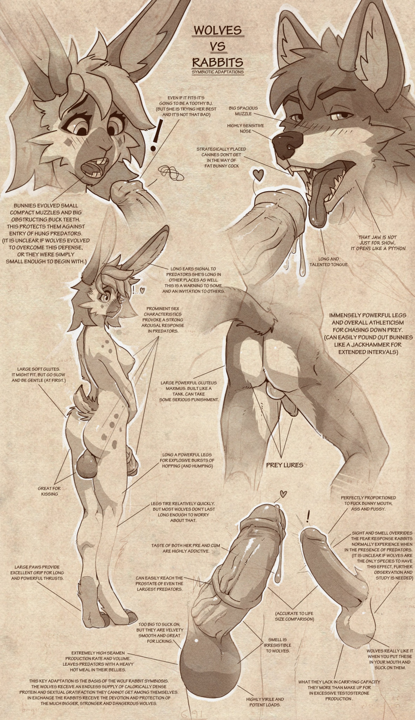 2023 absurd_res anthro ass backsack balls big_balls big_penis biped blush bodily_fluids breasts buckteeth canid canine canis countershade_fur countershading digital_media_(artwork) digitigrade duo erection facial_markings fangs foreskin full-length_portrait fur genital_fluids genitals gynomorph hair head_markings heart hi_res humanoid_genitalia humanoid_penis intersex lagomorph leporid male mammal markings medial_ring medial_ringed_humanoid_penis muzzle_(marking) nipples nude_anthro nude_gynomorph nude_male open_mouth penis portrait precum rabbit retracted_foreskin snout snout_markings spots spotted_body spotted_fur standing teeth tenzing wolf