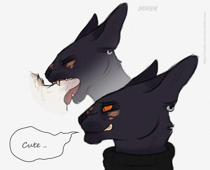 anthro artist_asney black_body black_fur domestic_cat fangs felid feline felis fellatio fur genitals hi_res humanoid male male/male mammal meme open_mouth oral oriental_shorthair penile penis piercing reaction_meme sex teeth tongue white_body white_fur