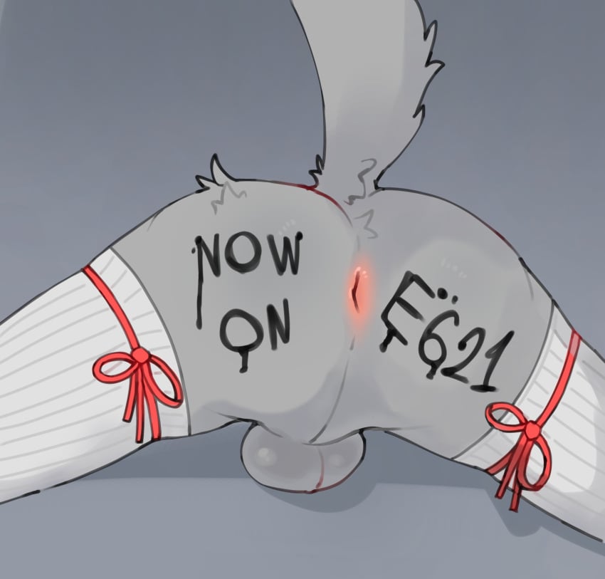 anthro anus ass backsack balls body_writing canid canine canis clothing e621 english_text fur genitals grey_background grey_body grey_fur hi_res lasseter_(rasetaa) legwear male mammal presenting presenting_hindquarters raised_tail rasetaa simple_background solo tail text thigh_highs white_clothing white_legwear white_thigh_highs wolf