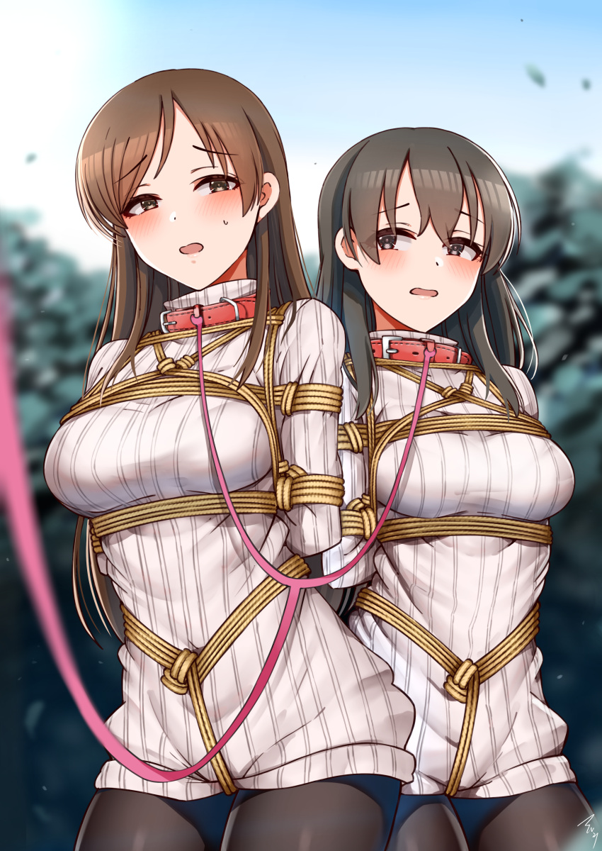 2girls arms_tied_behind_back black_hair bondage breasts brown_eyes brown_hair clouds collar crotch_rope fujiwara_hajime grey_sweater idolmaster idolmaster_cinderella_girls kinbaku large_breasts leash long_hair mabanna multiple_girls nitta_minami outside pantyhose ribbed_sweater rope rope_bondage shibari shibari_over_clothes sky sweater trees