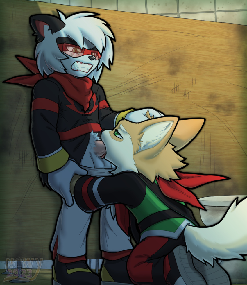 anthro blowjob canine freedom_planet freedom_planet_2 gay looking_at_another male nowykowski7 panda spade_(freedom_planet) video_games