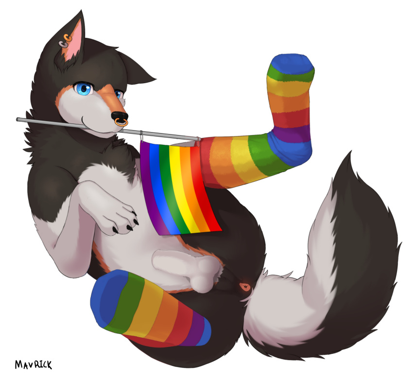 Animal Genitalia Rule 34 Image