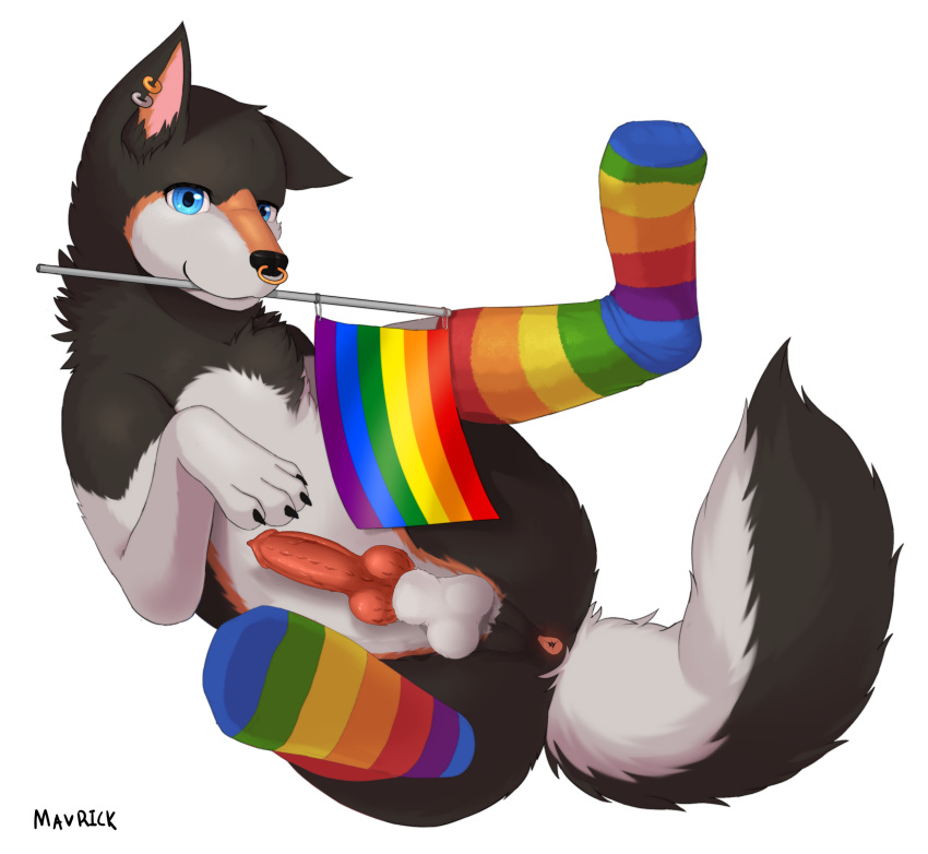 Animal Genitalia Rule 34 Image