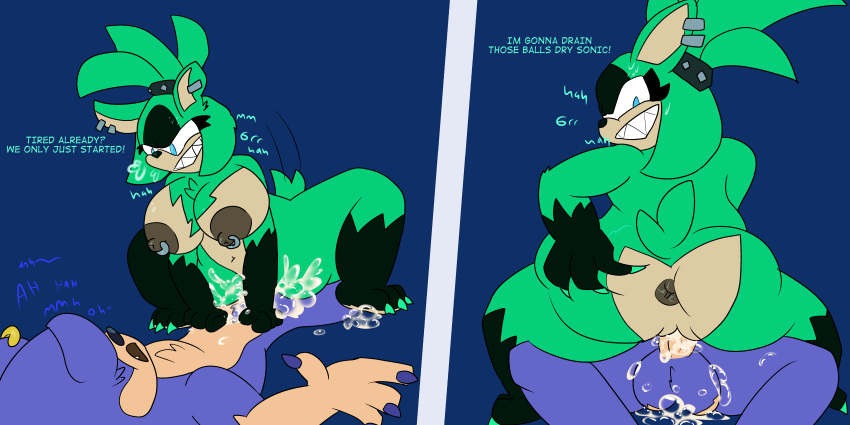 Sonic (Series) Rule 34 Image