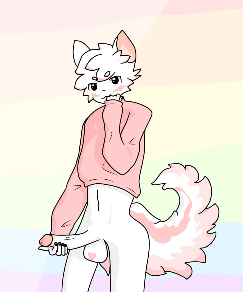 black_fingernails boykisser boykisser_(meme) cropped_shirt f3mb0ykiss3r femboy furry gay heart_on_balls holding_penis humanoid_penis long_penis looking_at_viewer pink_fur pink_shirt rainbow_background silly_cat_(mauzymice) solo white_fur