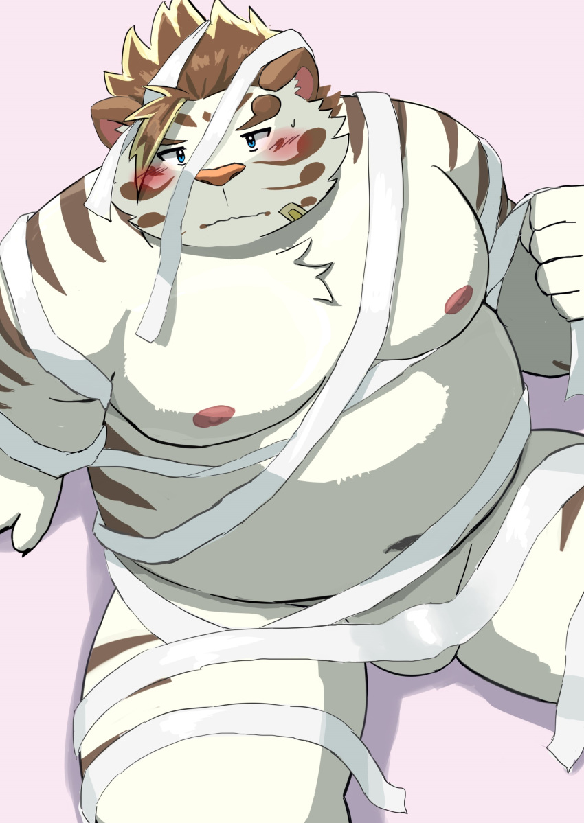 2023 9dtq0 absurd_res anthro balls band-aid bandage belly big_belly blush felid genitals halloween hi_res holidays kemono licho_(tas) lifewonders male mammal moobs mummy_costume navel nipples overweight overweight_male pantherine simple_background sitting solo tiger tokyo_afterschool_summoners white_body