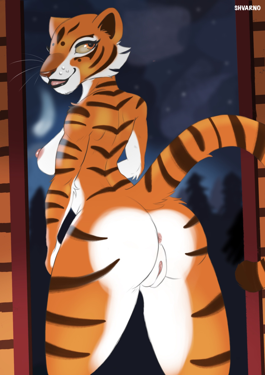 anthro anus areola ass big_butt breasts dreamworks felid female fur genitals hi_res kung_fu_panda mammal master_tigress nipples orange_body orange_fur pantherine pussy raised_tail shvarno solo tail thick_thighs tiger tongue white_body white_fur wide_hips yellow_sclera