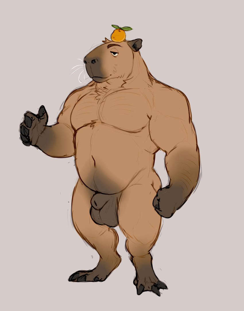 1boy absurdres bara belly capybara chest_tuft chubby_male completely_nude flaccid food food_on_head foreskin fruit fruit_on_head full_body furry furry_male gay gay_male hand_up highres large_pectorals male_focus mandarin_orange muscular muscular_male navel navel_hair no_nipples nude object_on_head original pectorals penis plump sanpaku short_hair simple_background smile solo sparse_arm_hair standing thick_eyebrows towel_around_waist twisthound uncensored whiskers