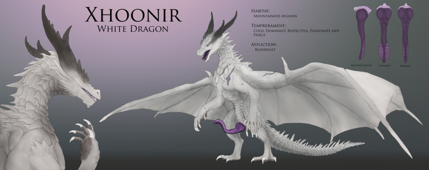 big_horn dragon english_text feral genitals hi_res horn inflatable knot knotted_prehensile_penis male model_sheet penis prehensile_penis red_eyes scales scalie scar slit solo spiked_tail spikes spikes_(anatomy) svevato tail text western_dragon white_body white_scales wings xhoonir