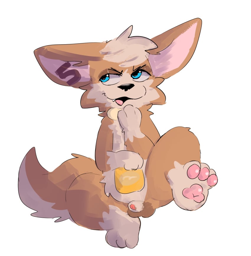 absurd_res animal_genitalia anthro balls big_ears blue_eyes canid canine chip_(mobile_legends) chips_(food) countershading cute_fangs dipstick_limbs fennec_fox food fox genitals hi_res holding_food holding_object looking_aside male mammal mobile_legends nude pawfunk_(artist) pawpads penis penis_tip potato_chips sheath simple_background sitting snout solo spread_legs spreading tail true_fox white_background white_body white_countershading