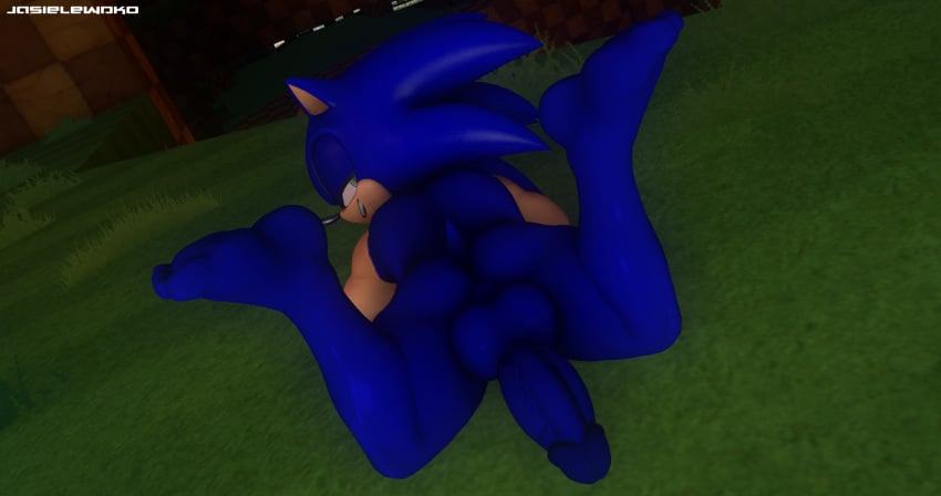 2022 256:135 3d_(artwork) anus ass balls bedroom_eyes big_balls big_penis digital_media_(artwork) erection feet genitals grass green_eyes half-closed_eyes hi_res looking_at_viewer looking_back male narrowed_eyes outside penis plant seductive sega solo sonic_(series) sonic_the_hedgehog sonic_the_hedgehog_(series) source_filmmaker tail watermark