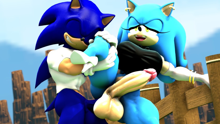 1boy 1futa 1futanari 3d 3d_(artwork) futanari futanari_penetrated male_on_futa nackey orgasm orgasm_face rule_63 selfcest sex sonic_(series) sonic_the_hedgehog sonique_the_hedgehog tagme