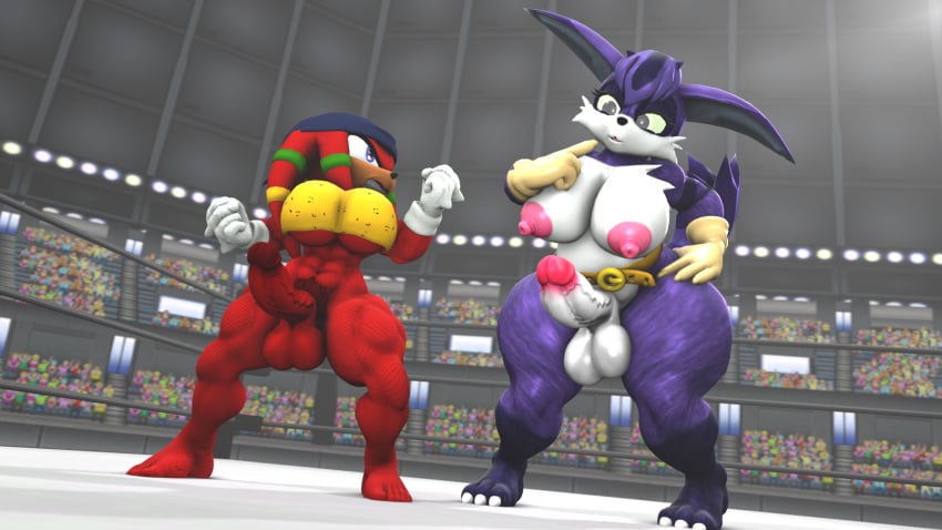 2futas 3d 3d_(artwork) anthro big_the_cat boxing_ring fight fighting_ring furry futa_on_futa futanari knora_the_echidna knuckles_the_echidna nackey rule_63 size_difference sonic_(series)