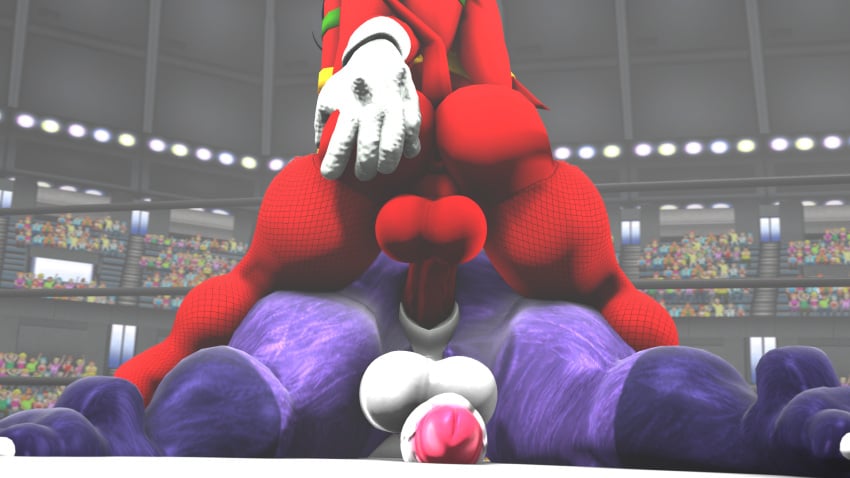 2futas 3d 3d_(artwork) anthro big_the_cat boxing_ring furry futa_on_futa futanari knora_the_echidna knuckles_the_echidna nackey rule_63 size_difference sonic_(series)