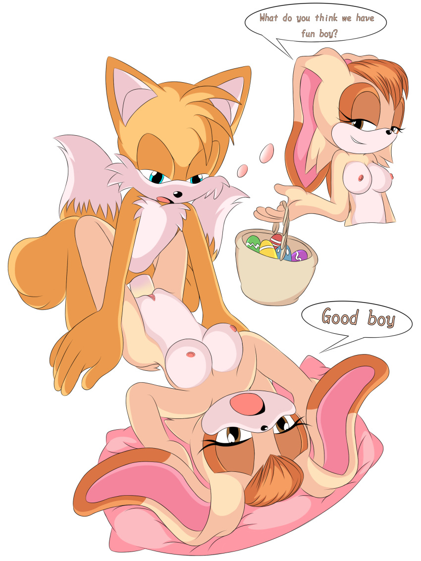 easter easter_egg fox furry good_boy j_nsfw penetration rabbit sonic_(series) sonic_the_hedgehog_(series) tails tails_the_fox vaginal_penetration vanilla_the_rabbit