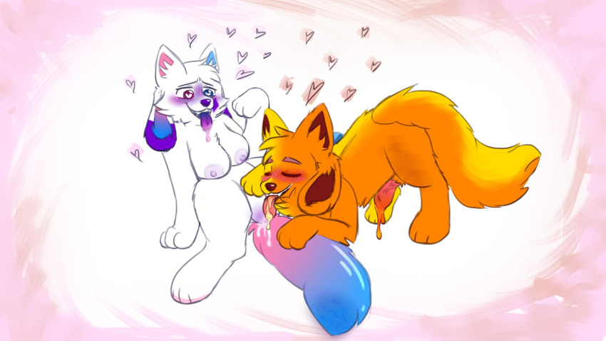 boob_(kittydogcrystal) crystal_(kittydogcrystal) furry furry_only kenninsfw kittydog_(species) kittydog_fanart oral oral_sex