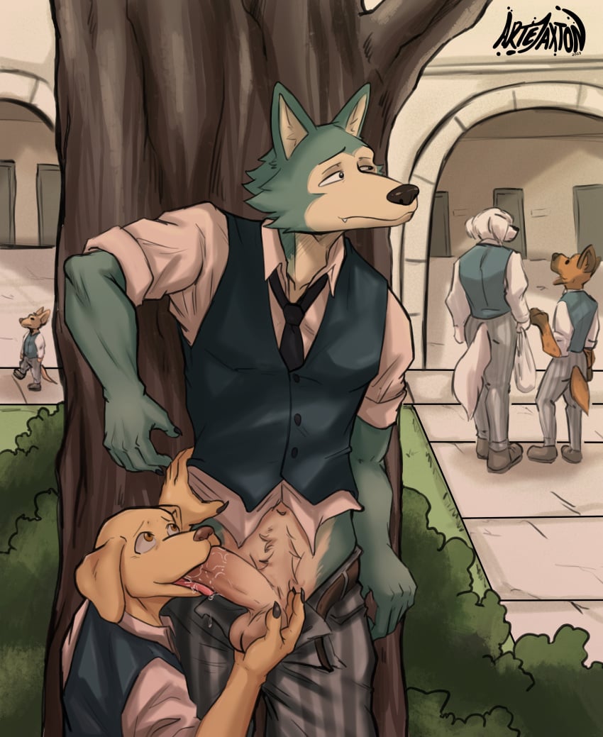 absurd_res anthro artejaxton balls beastars canid canine canis collot_(beastars) domestic_dog fellatio fennec fox genitals hi_res jack_(beastars) legoshi_(beastars) male male/male mammal miguno_(beastars) oral outside penile penis sex voss_(beastars) wolf