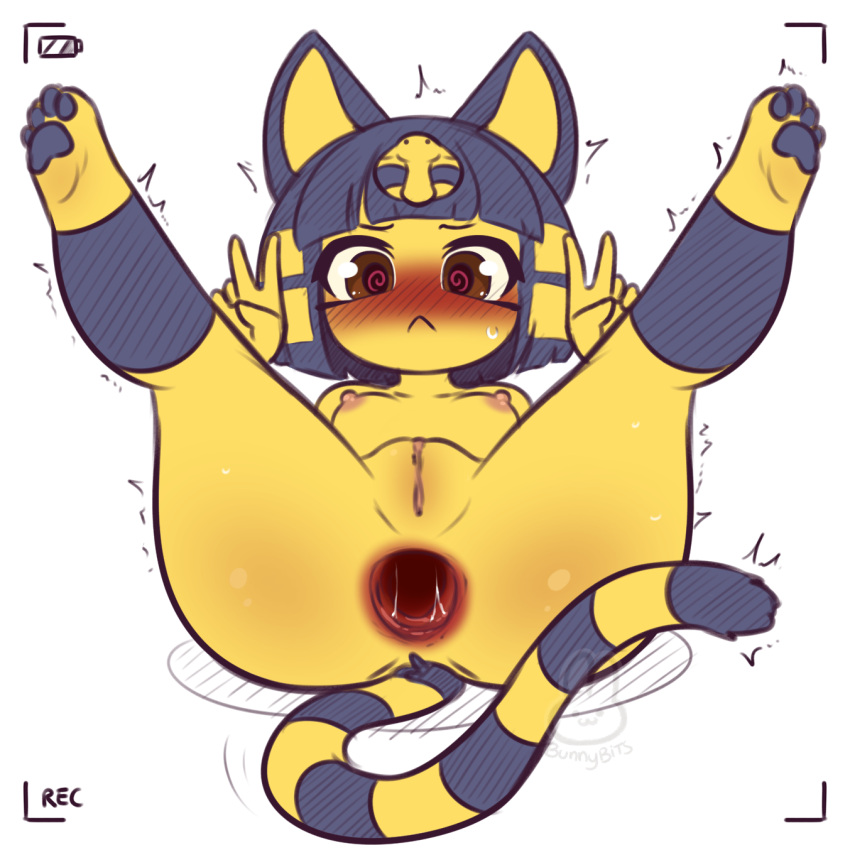 1:1 2023 4_toes 5_fingers :< @_@ animal_crossing ankha ankha_(animal_crossing) anthro anus areola artist_name ass blue_body blue_ears blue_fur blue_pawpads blush blush_lines bodily_fluids breasts brown_eyes bunnybits digital_media_(artwork) domestic_cat double_v_sign embarrassed erect_nipples eyebrows eyelashes feet felid feline felis female fingers fur furry furry_only gaping gaping_anus genitals gesture headdress headdress_only headgear headgear_only hi_res legs_up looking_at_viewer lying mammal markings multicolored_body multicolored_fur nintendo nipples nude on_back pawpads pink_areola pink_nipples pink_pussy presenting presenting_anus presenting_hindquarters presenting_pussy pussy recording shaking signature simple_background small_breasts solo spiral_eyes spread_legs spreading striped_body striped_fur striped_markings striped_tail stripes sweat tail tail_markings toes tremble_spikes trembling uraeus v_sign white_background yellow_body yellow_fur yellow_inner_ear