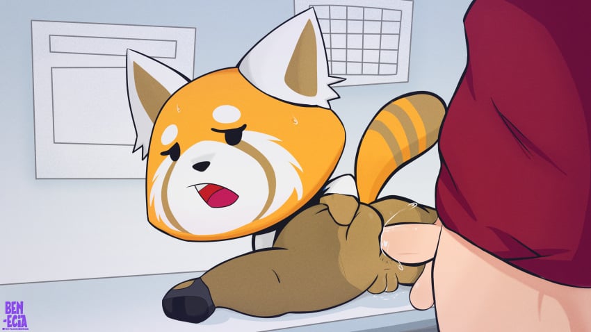 1boy 1boy1girl 1girls absurd_res aggressive_retsuko aggretsuko ailurid anal ass benecia bodily_fluids duo female hi_res male male/female mammal red_panda retsuko sanrio sweat