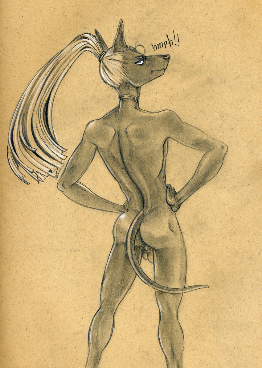 2018 annoyed anthro arched_back ass backsack balls canid canine canis choker frown genitals hair hands_on_hips hi_res hmph jackal jewelry long_hair long_ponytail looking_at_viewer looking_back male mammal monochrome necklace nude ponytail portrait pose rear_view scowl sepia simple_background slim solo tan_background textured_background three-quarter_portrait tush