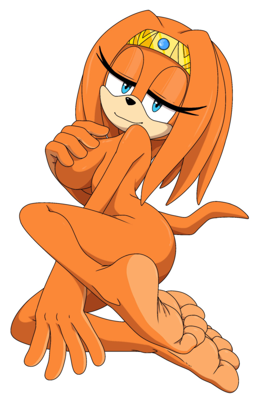 2d 5_toes ass barefoot big_butt breasts feet female foot_focus foot_ninja15 mobian mobian_(species) mobian_echidna nude sega soles solo sonic_(series) sonic_adventure sonic_the_hedgehog_(series) tikal_the_echidna toesrnfoot_fetish