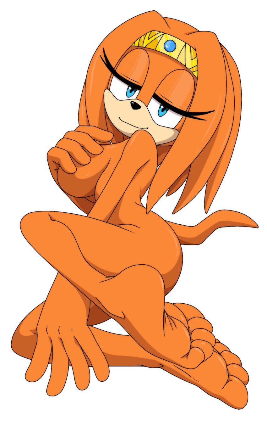 2d 5_toes ass barefoot big_butt breasts feet female foot_ninja15 mobian mobian_(species) mobian_echidna nude sega soles solo sonic_(series) sonic_adventure sonic_the_hedgehog_(series) tikal_the_echidna toes