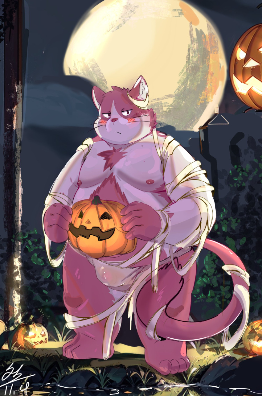 anthro asian_clothing belly blush bulge bungo_(tamacolle) clothing domestic_cat east_asian_clothing felid feline felis fundoshi fur halloween hi_res holidays jack-o'-lantern japanese_clothing male mammal moobs mummy_costume mummy_wrappings nipples overweight pink_body pink_fur solo tamacolle tengzai05 underwear