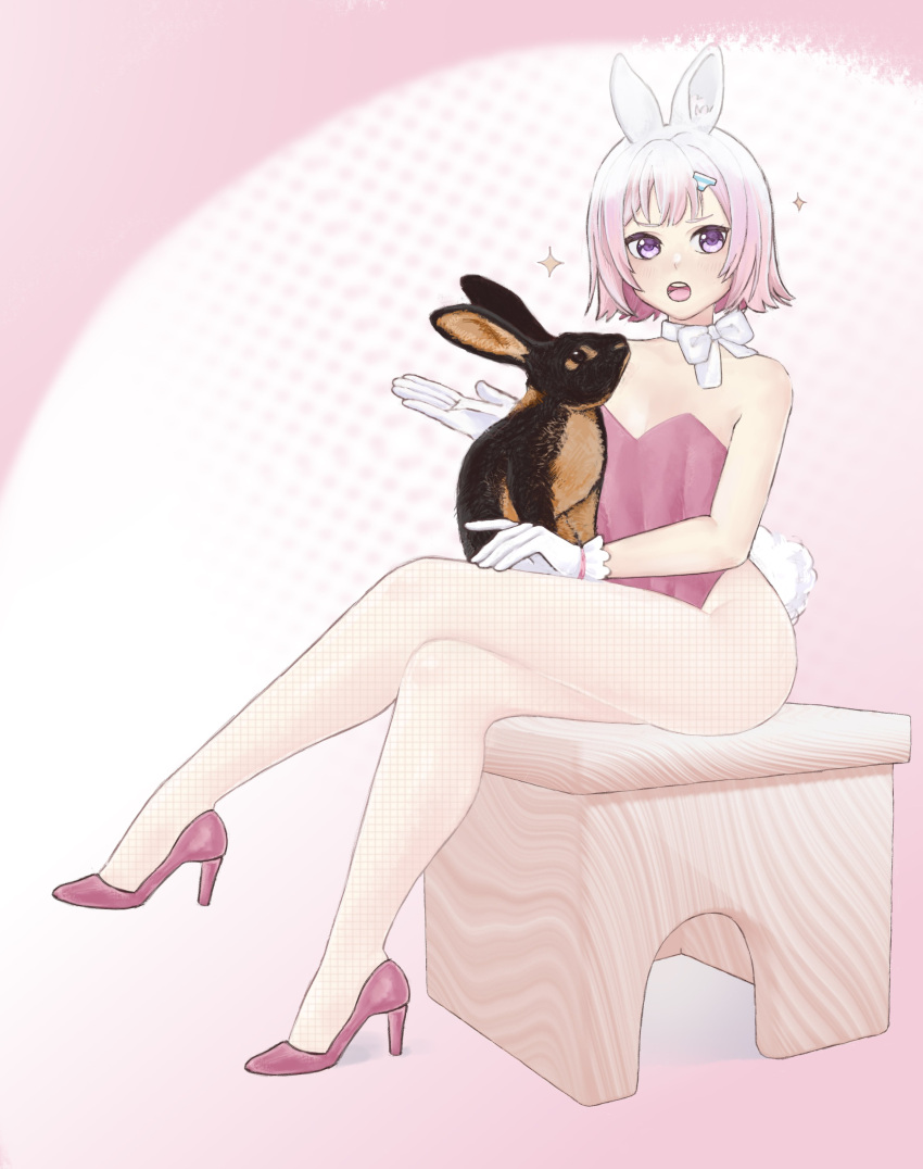 1boy barely_visible_legwear blush blush_lines blushing_at_viewer bunny bunny_boy bunny_ears bunny_tail bunnysuit covered_nipples femboy girly high_heels indie_virtual_youtuber legwear light_skin light_skinned_male looking_at_viewer male pink_bunnysuit pink_clothing pink_hair pink_high_heels purple_eyes rabbit rabbit_ears rabbit_tail sitting small_breasts smol&stronk thick_thighs virtual_youtuber vtuber yayobashi