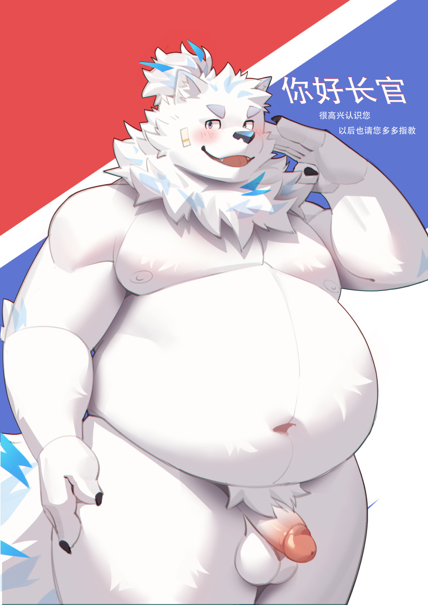 2023 absurd_res anthro balls belly big_belly black_nose blush canid canine canis domestic_dog fur genitals hi_res humanoid_hands kemono lifewonders live_a_hero male mammal moobs nipples njmhie9ndl6mgwa overweight overweight_male penis simple_background solo white_body white_fur yohack