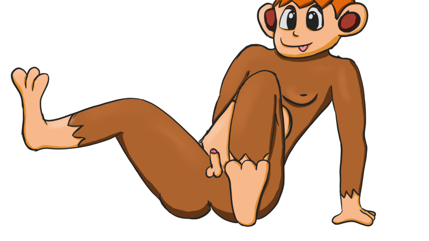 anthro chimchar generation_4_pokemon genitals hi_res male nintendo penis pokemon pokemon_(species) small_penis solo spread_legs spreading tongue tongue_out