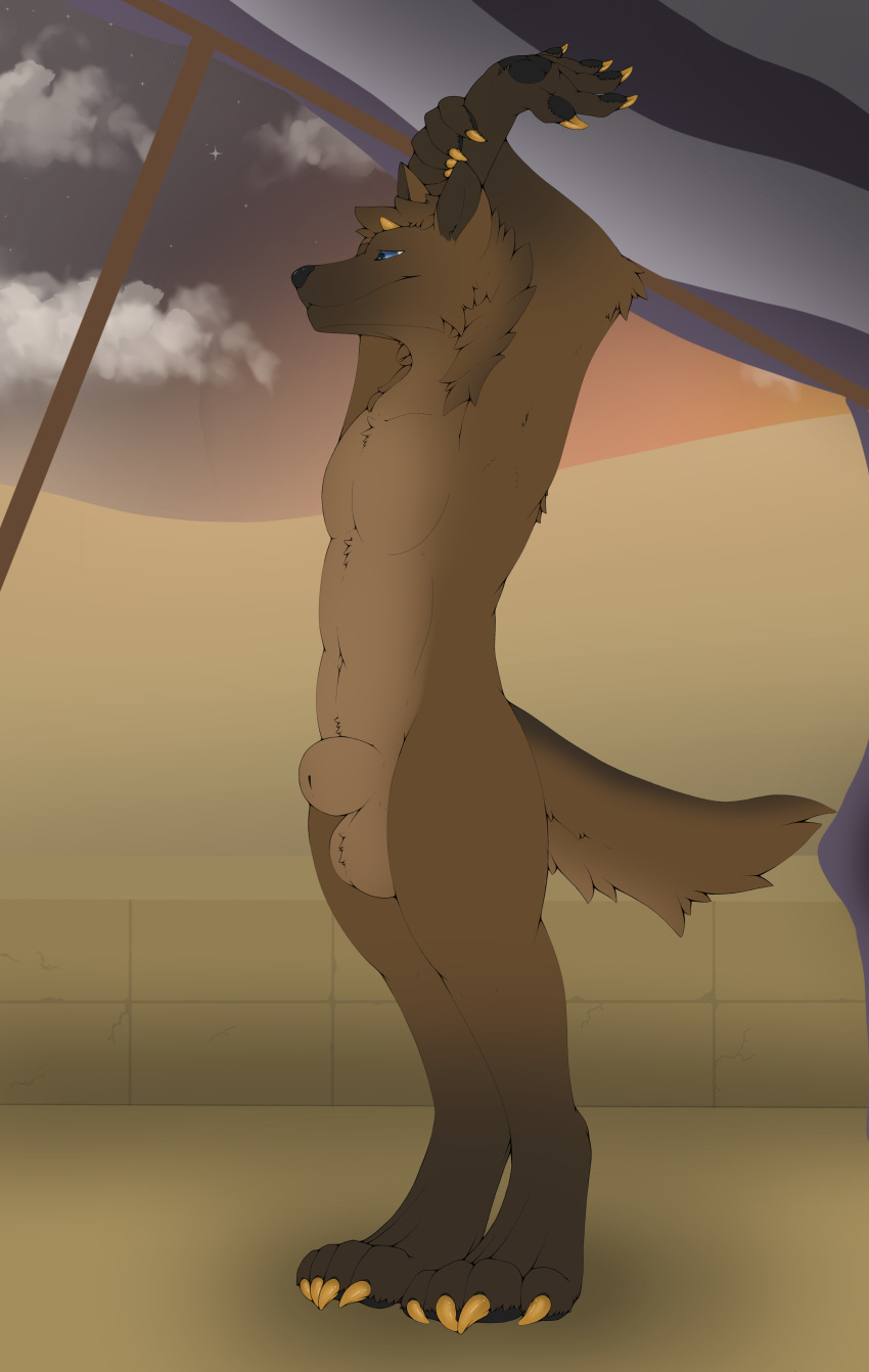 absurd_res animal_genitalia anthro balls blue_eyes canid canine canine_genitalia canis claws desert domestic_dog feet fur genitals gold_claws hi_res horn male mammal neshi nude original_character outside pawpads paws sheath simple_background sky solo stretching tail