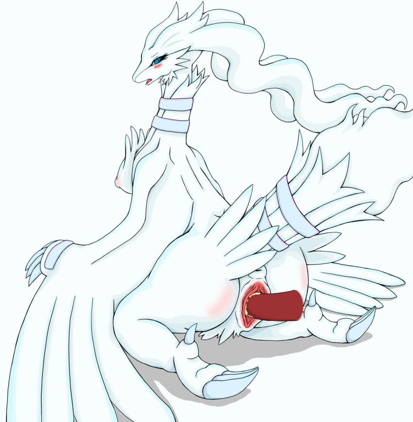 anthro anus ass breasts claws disembodied_penis dragon fang_asian female nipples penis pokemon pussy reshiram tail