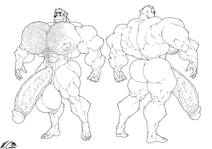 bodybuilder boner erection furry hyper hyper_balls hyper_cock hyper_genitalia hyper_penis hyper_testicles male male_only monochrome mr_canvas muscles muscular muscular_arms muscular_male muscular_thighs nude solo solo_male