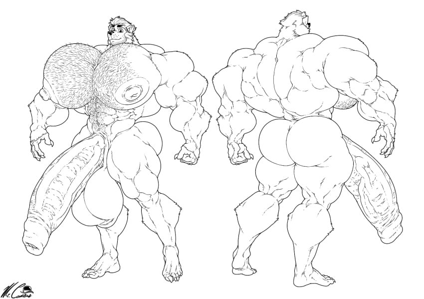 bodybuilder boner erection furry hyper hyper_balls hyper_cock hyper_genitalia hyper_penis hyper_testicles male male_only monochrome mr_canvas muscles muscular muscular_arms muscular_male muscular_thighs nude solo solo_male