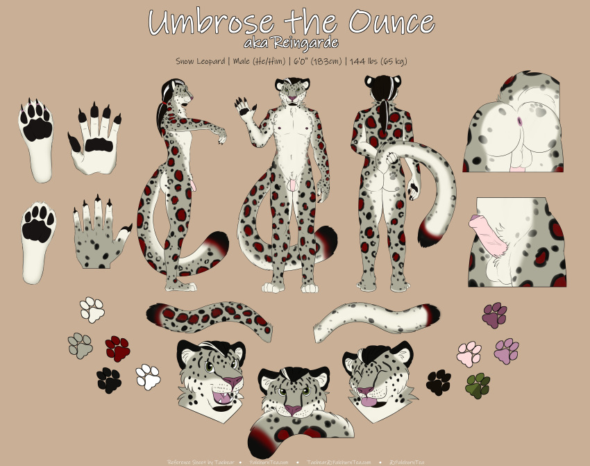 absurd_res anthro anus balls bite biting_own_tail erection felid foreskin genitals hi_res homph male mammal model_sheet palehorntea pantherine paws penis snow_leopard solo tail tail_bite tail_in_mouth umbrose