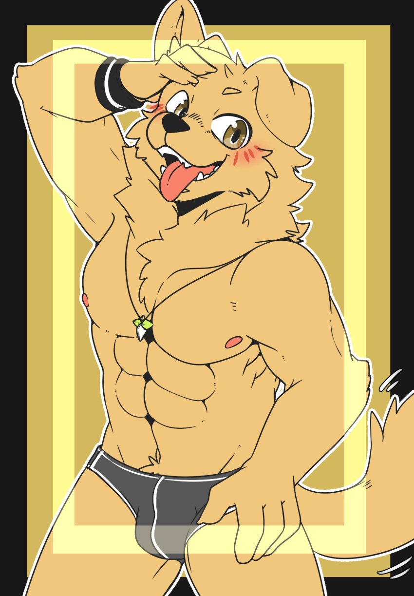 anthro blush briefs bulge canine collar fur furry golden_retriever i_think_i_like_you looking_at_viewer male male_focus male_only mammal necklace quality ray_(i_think_i_like_you) saku1saya underwear webcomic webtoon yellow_fur